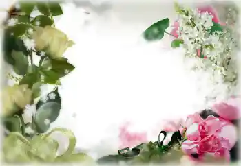 범주에서의 사진 효과 여성 프레임 № 85356