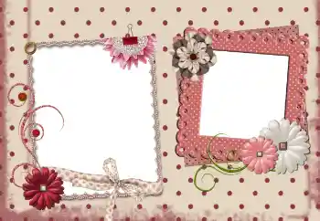 범주에서의 사진 효과 여성 프레임 № 85394