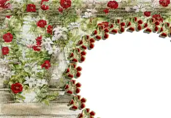 범주에서의 사진 효과 여성 프레임 № 85429