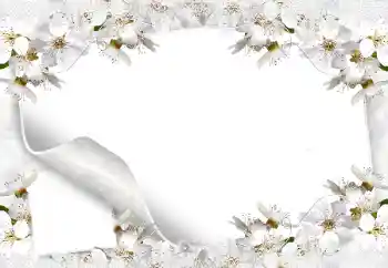 범주에서의 사진 효과 여성 프레임 № 8554