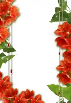 범주에서의 사진 효과 여성 프레임 № 8632