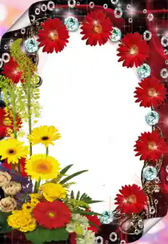 범주에서의 사진 효과 여성 프레임 № 8633