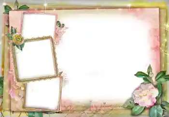 범주에서의 사진 효과 여성 프레임 № 86591