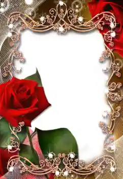 범주에서의 사진 효과 여성 프레임 № 8683