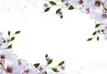 범주에서의 사진 효과 여성 프레임 № 87722