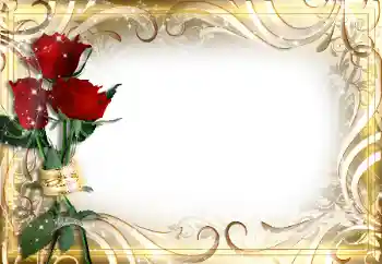 범주에서의 사진 효과 여성 프레임 № 89226