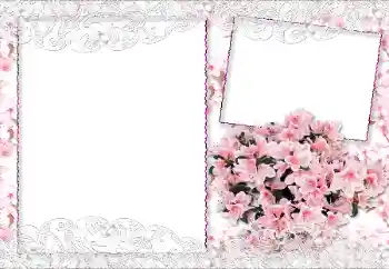 범주에서의 사진 효과 여성 프레임 № 89229