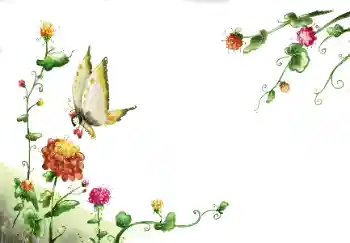 범주에서의 사진 효과 여성 프레임 № 89260