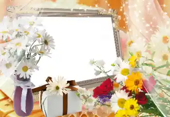 범주에서의 사진 효과 여성 프레임 № 89424