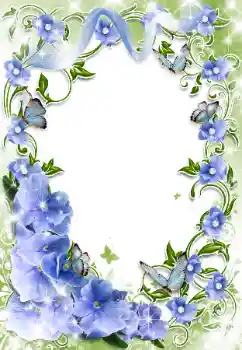 범주에서의 사진 효과 여성 프레임 № 89494