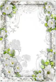 범주에서의 사진 효과 여성 프레임 № 89495