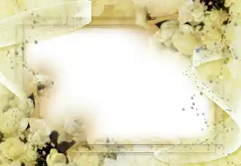 범주에서의 사진 효과 여성 프레임 № 90586