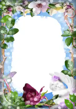 범주에서의 사진 효과 여성 프레임 № 90593