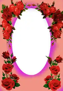 범주에서의 사진 효과 여성 프레임 № 91705