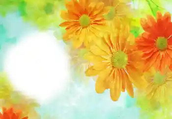 범주에서의 사진 효과 여성 프레임 № 91723