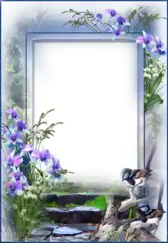 범주에서의 사진 효과 여성 프레임 № 91730