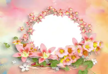 범주에서의 사진 효과 여성 프레임 № 91735