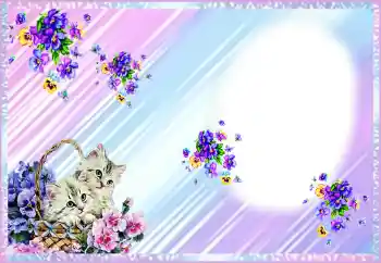 범주에서의 사진 효과 여성 프레임 № 91749