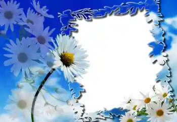 범주에서의 사진 효과 여성 프레임 № 91804