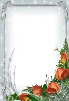 범주에서의 사진 효과 여성 프레임 № 93099