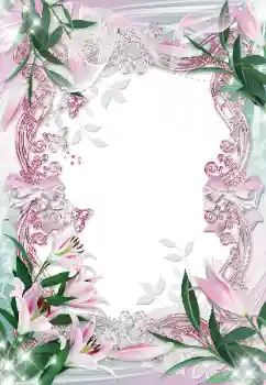 범주에서의 사진 효과 여성 프레임 № 93101