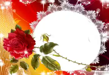 범주에서의 사진 효과 여성 프레임 № 93130