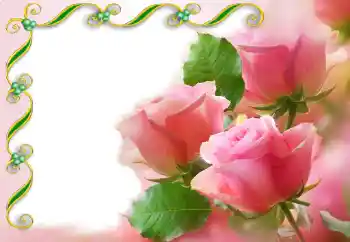 범주에서의 사진 효과 여성 프레임 № 93171