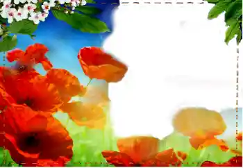 범주에서의 사진 효과 여성 프레임 № 93217