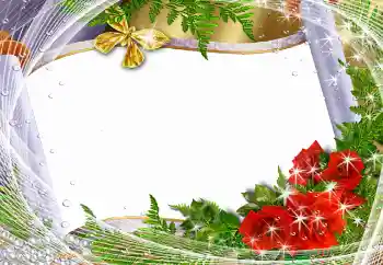 범주에서의 사진 효과 여성 프레임 № 93282