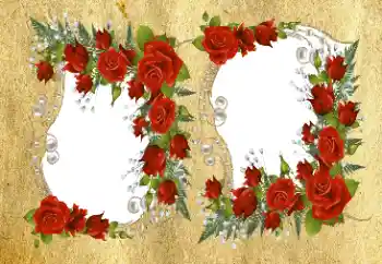 범주에서의 사진 효과 여성 프레임 № 94576