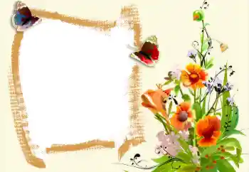 범주에서의 사진 효과 여성 프레임 № 94578