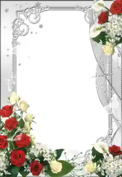 범주에서의 사진 효과 여성 프레임 № 94652