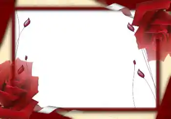 범주에서의 사진 효과 여성 프레임 № 94729