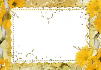 범주에서의 사진 효과 여성 프레임 № 94746