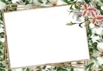 범주에서의 사진 효과 여성 프레임 № 94751