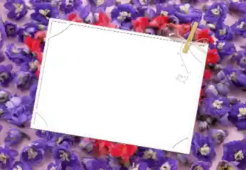 범주에서의 사진 효과 여성 프레임 № 9481