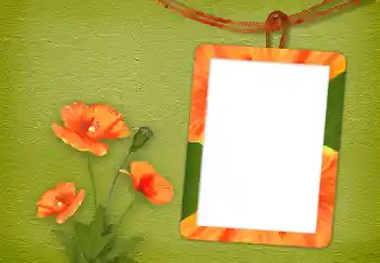 범주에서의 사진 효과 여성 프레임 № 94833