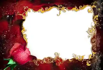 범주에서의 사진 효과 여성 프레임 № 94837