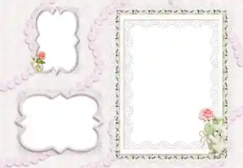 범주에서의 사진 효과 여성 프레임 № 9514