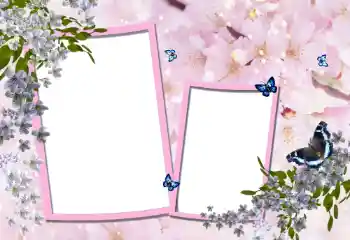 범주에서의 사진 효과 여성 프레임 № 95900