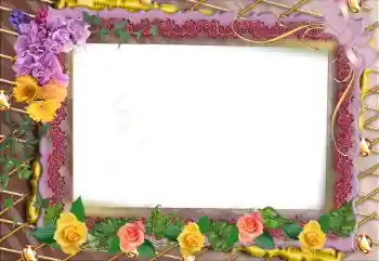 범주에서의 사진 효과 여성 프레임 № 95902