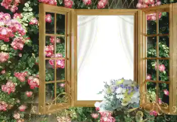 범주에서의 사진 효과 여성 프레임 № 96098