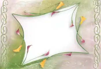 범주에서의 사진 효과 여성 프레임 № 96114