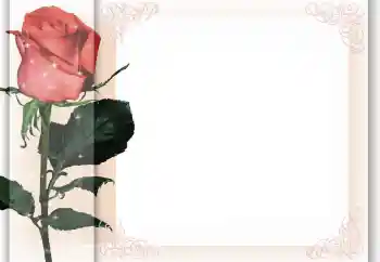 범주에서의 사진 효과 여성 프레임 № 96405