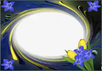 범주에서의 사진 효과 여성 프레임 № 96413