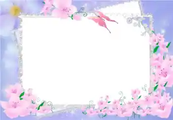 범주에서의 사진 효과 여성 프레임 № 9662