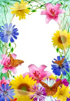 범주에서의 사진 효과 여성 프레임 № 9688