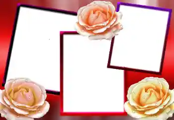 범주에서의 사진 효과 여성 프레임 № 9712