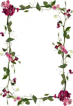 범주에서의 사진 효과 여성 프레임 № 97451