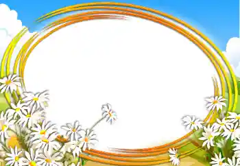 범주에서의 사진 효과 여성 프레임 № 97575